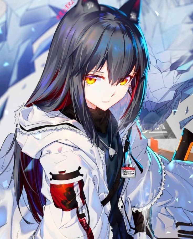 Ark knight Ark knight